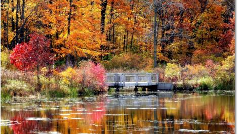 The fiery colors of autumn in Lake County