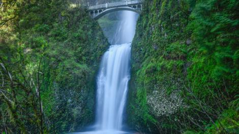 Multnomah Falls, l’attraction naturelle la plus visitée de la région du Nord-Ouest Pacifique