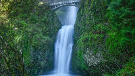 Multnomah Falls, l’attraction naturelle la plus visitée de la région du Nord-Ouest Pacifique