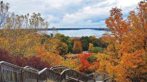 Cores brilhantes de outono ao longo do Mt. Pisgah em Holland, Michigan