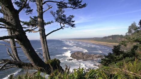 Vue sur les 45 kilomètres de plages de la péninsule de Long Beach depuis le North Head Lighthouse