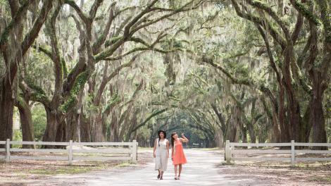 Paseando por los senderos bordeados de robles del Wormsloe State Historic Site en Savannah, Georgia