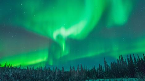 The iconic hue of the Aurora Borealis