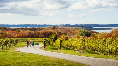 Fall biking alongside a Traverse City vineyard