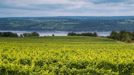 New York Sipping Tour: Craft Beverages of New York State