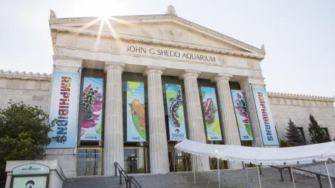 The grand entrance of Shedd Aquarium