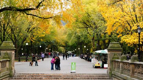 Die Bethesda Terrace, ein beliebter Treffpunkt im Central Park