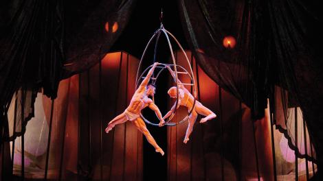 Ela sonha com ele, e seus desejos se manifestam em toda a sua intensidade nesta magnífica e apaixonante fantasia acrobática.