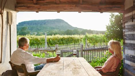 Dégustation de vin avec vue sur le vignoble au domaine La Cruz de Comal Wines à Canyon Lake, Texas
