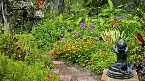 在南卡罗来纳州美特尔海滩附近的布鲁克格林花园中，仲夏植被生长繁茂