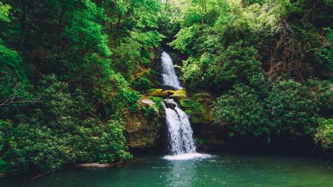 南卡罗来纳州德弗尔斯弗克州立公园内的瀑布