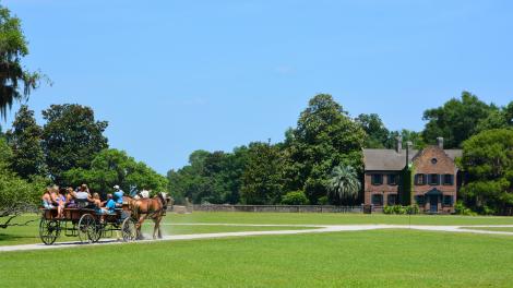 乘马车游览南卡罗来纳州查尔斯顿的米德尔顿广场花园