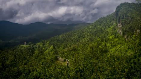 Vistas de la selva tropical en El Yunque National Forest, Puerto Rico