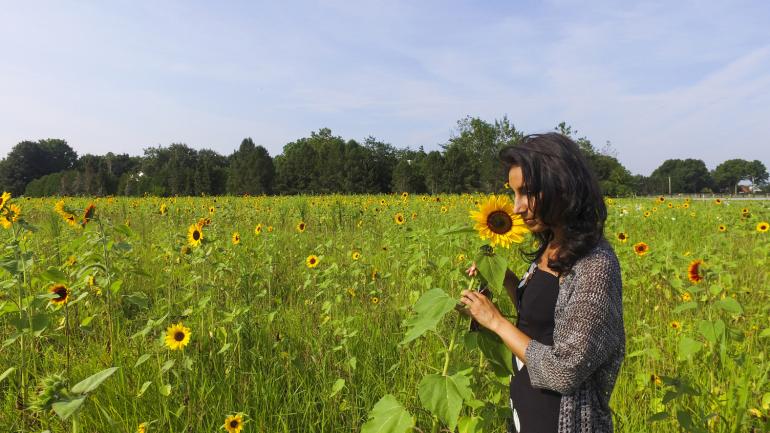 Petite halte dans un champ de tournesol près de Martha Clara Vineyards, dans l’État de New York