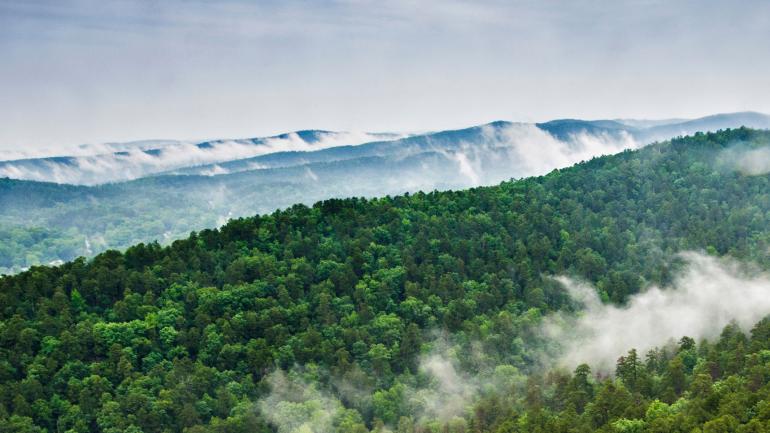View from the Hot Springs Mountain Tower in Arkansas