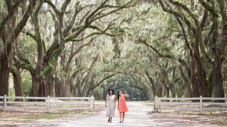 Paseando por los senderos bordeados de robles del Wormsloe State Historic Site en Savannah, Georgia