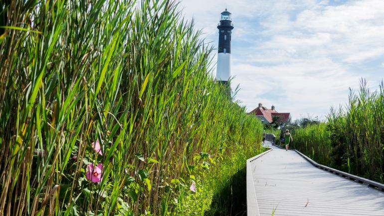Boardwalk leading to Fire Island Lighthouse, New York