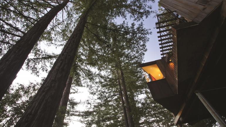 A ground-level view of a tree house at the Post Ranch Inn in Big Sur, California.