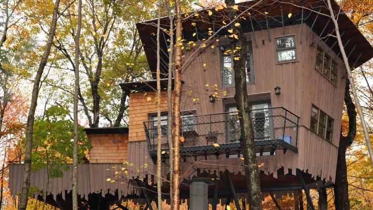 In Connecticut, the Treehouse at Winvian Farm offers lovely views of fall foliage.