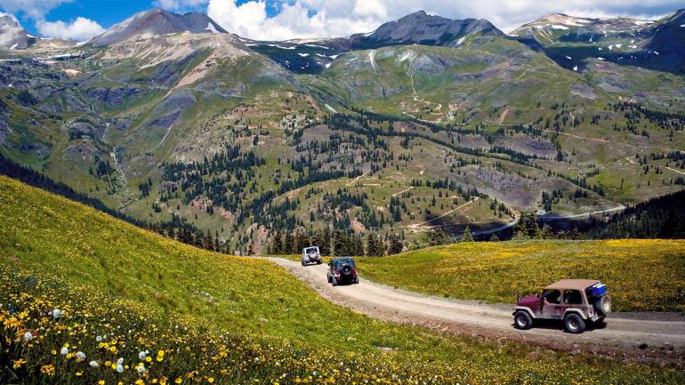 Wildflowers carpet the mountain landscape along a scenic byway in Ouray, Colorado 