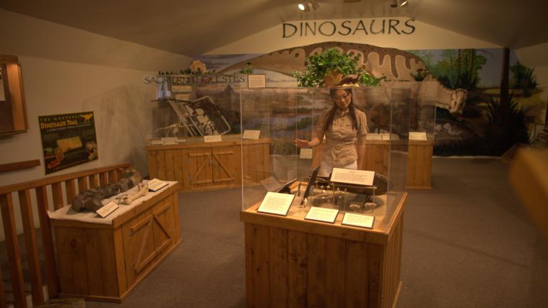 Exhibición de fósiles de dinosaurios en el Old Trail Museum cerca de Choteau