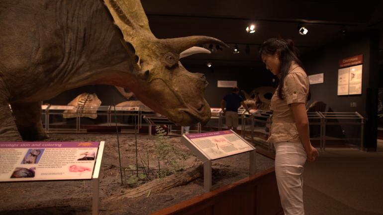 Exhibición de dinosaurios en Museum of the Rockies en Bozeman