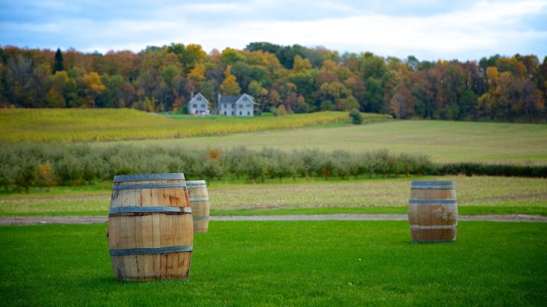Vista de los campos a lo largo del Niagara Wine Trail