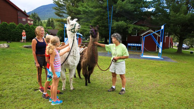 Llama Trek no Smugglers Notch Resort, Vermont