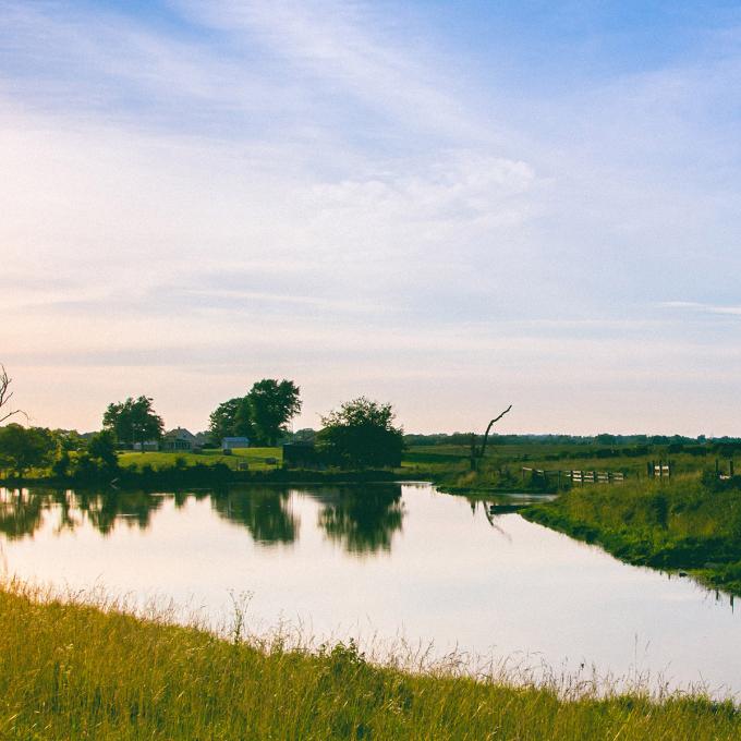 Quiet day on a farm in Shelbyville, Kentucky