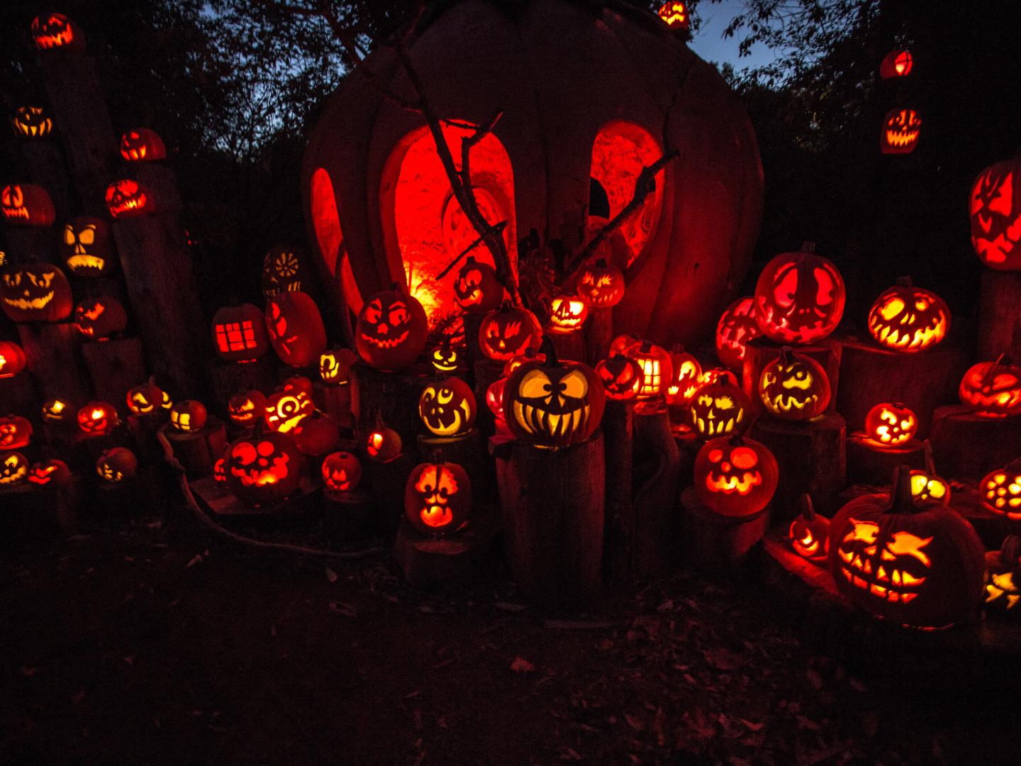 The spectacle of Jack-O-Lantern Spectacular at Roger Williams Park Zoo 