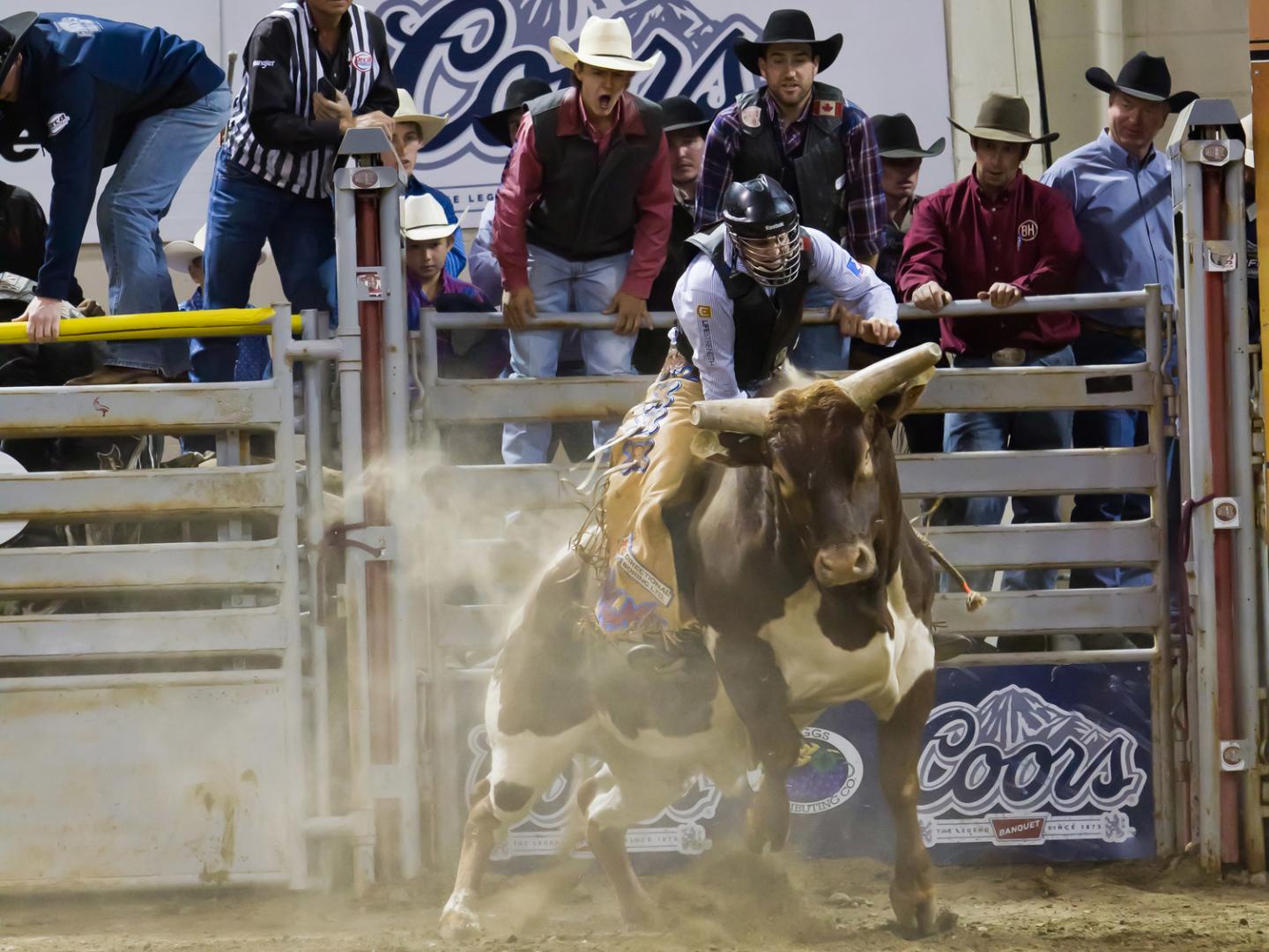 Cheering on a participant at Billings’ PBR event