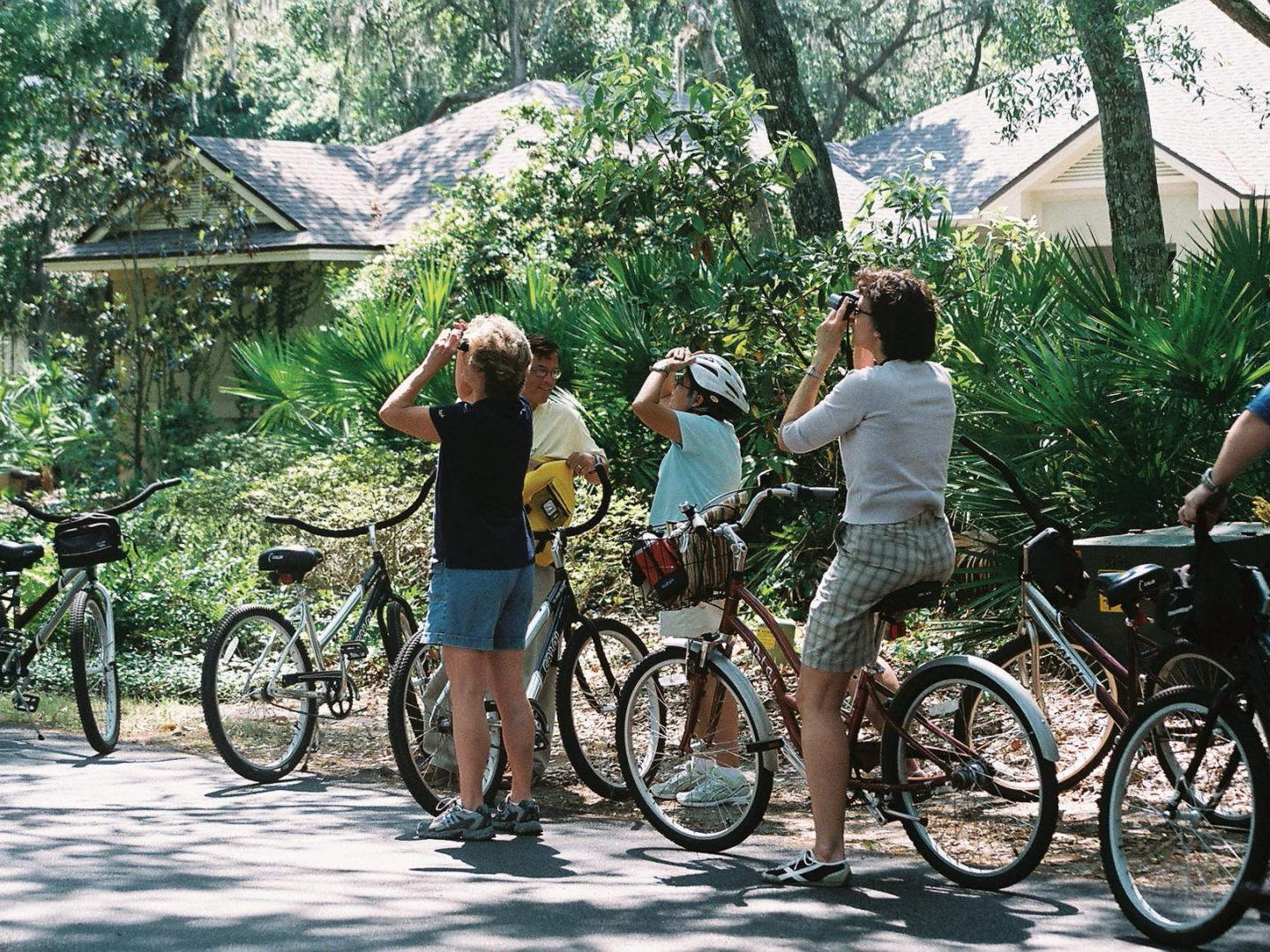 Excursion d’observation de la faune à l’occasion du Wild Amelia Nature Festival à Amelia Island, Floride