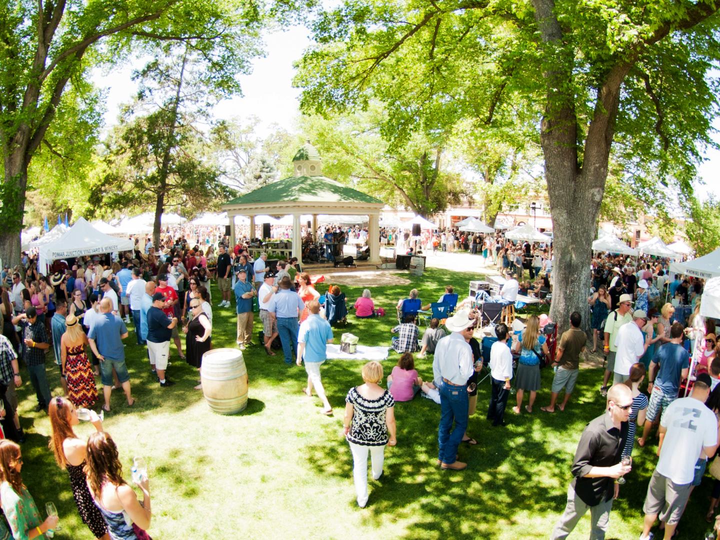 Grand Tasting in the Downtown City Park at the Paso Robles Wine Festival