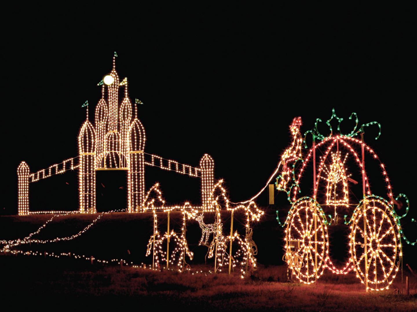 헌츠빌 식물원 갤럭시 오브 라이트의 전시물