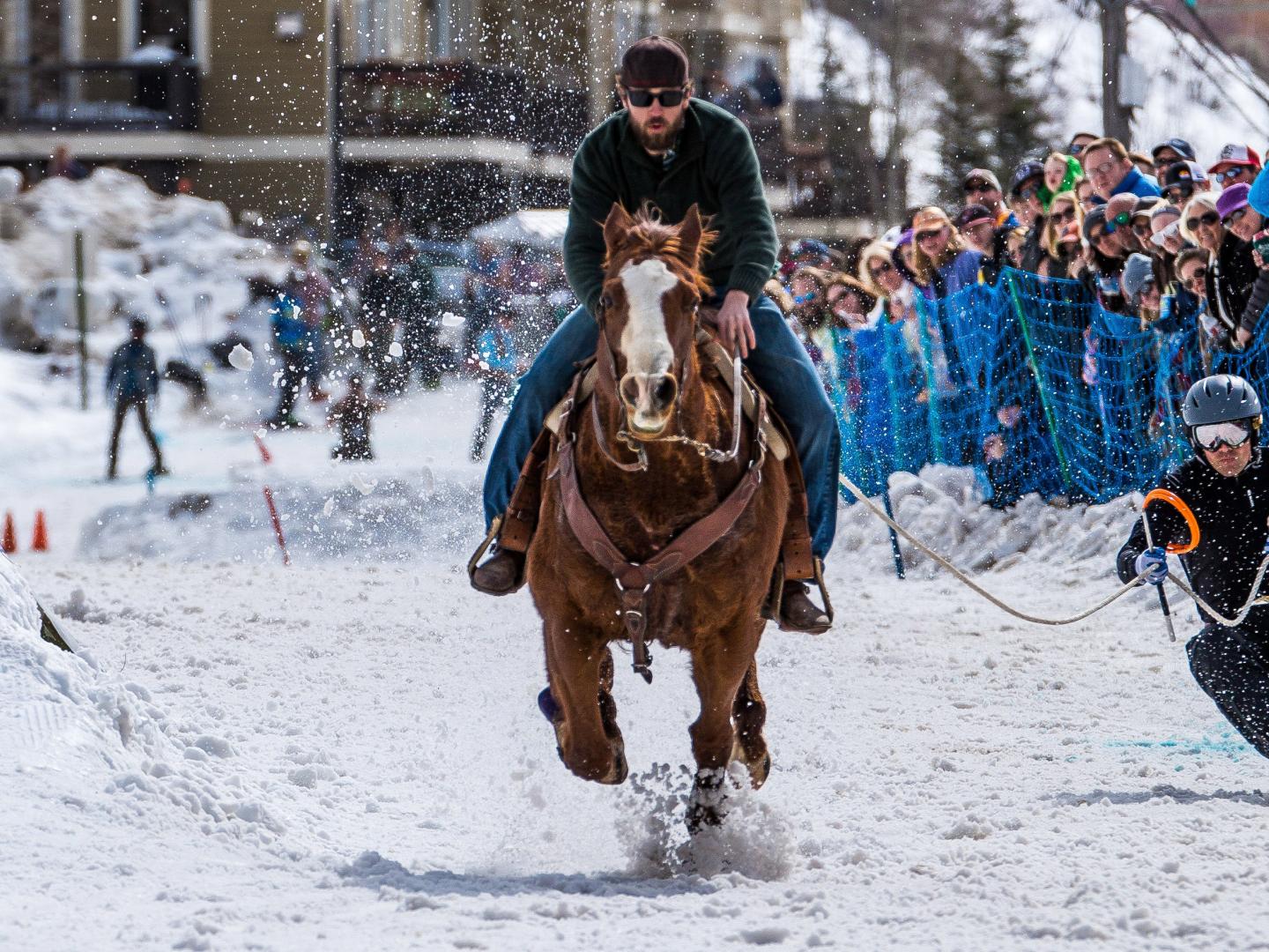 Skijöring-Fahrer mit Pferd bei den Skijor West Championships in West Yellowstone