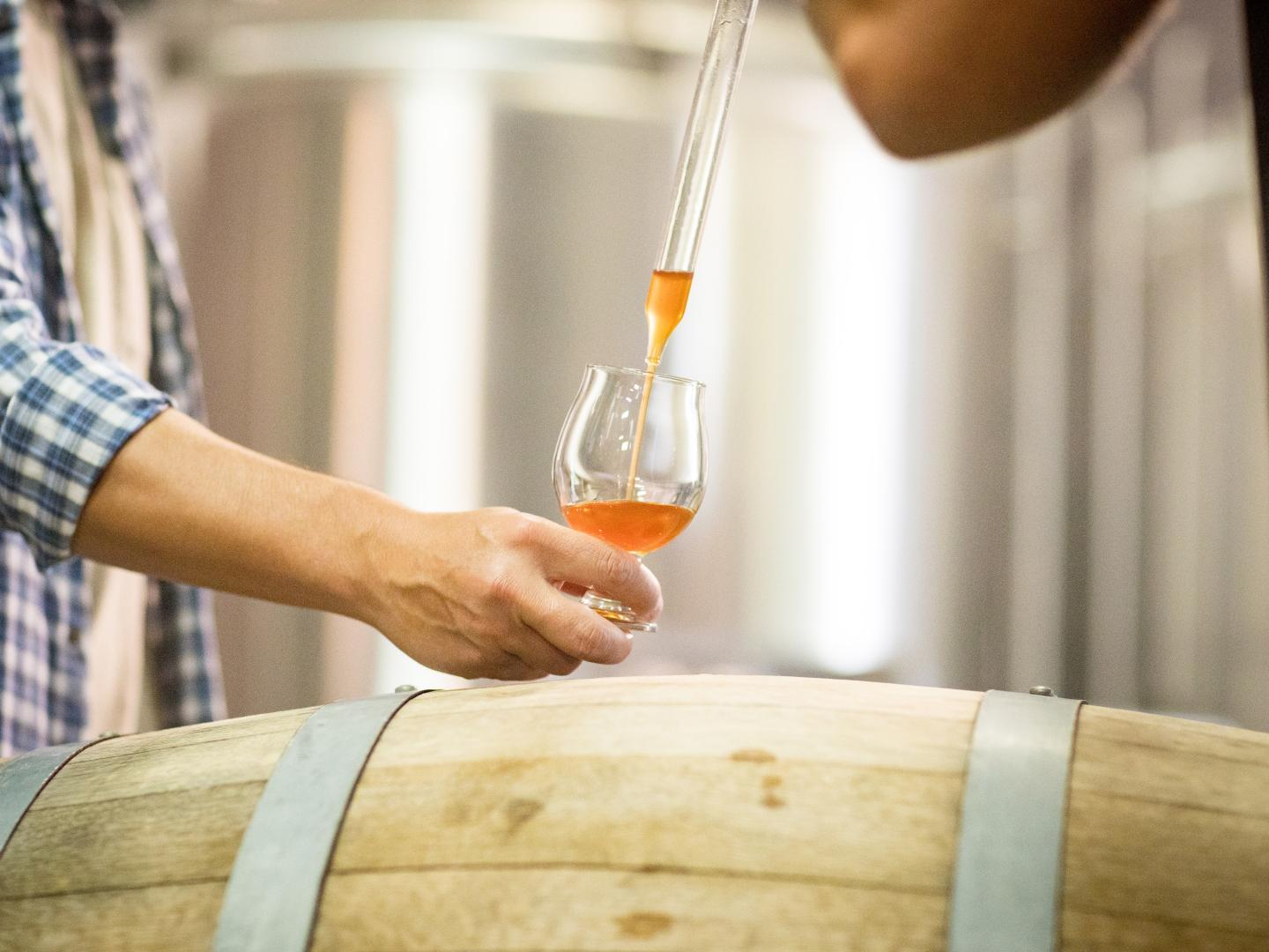 カリフォルニア州テメキュラバレーのクラフト・ホップ・ビール・ツアーでは、クラフトビールが試飲できます