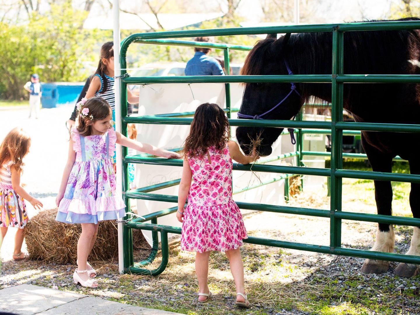 Niños acariciando un poni durante el Buttercup Festival en Nolensville, Tennessee