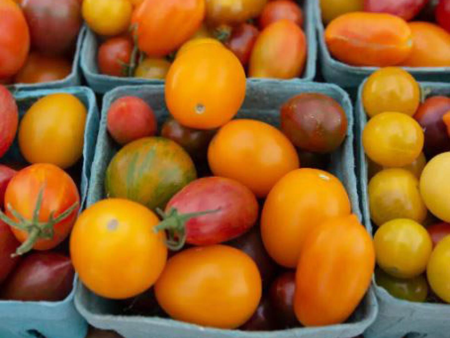 Légumes colorés au Vail Farmers’ Market and Art Show, Colorado