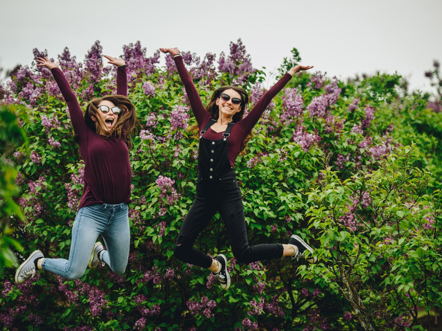 뉴욕주 로체스터의 라일락 페스티벌에서 형형색색의 꽃들 감상하기