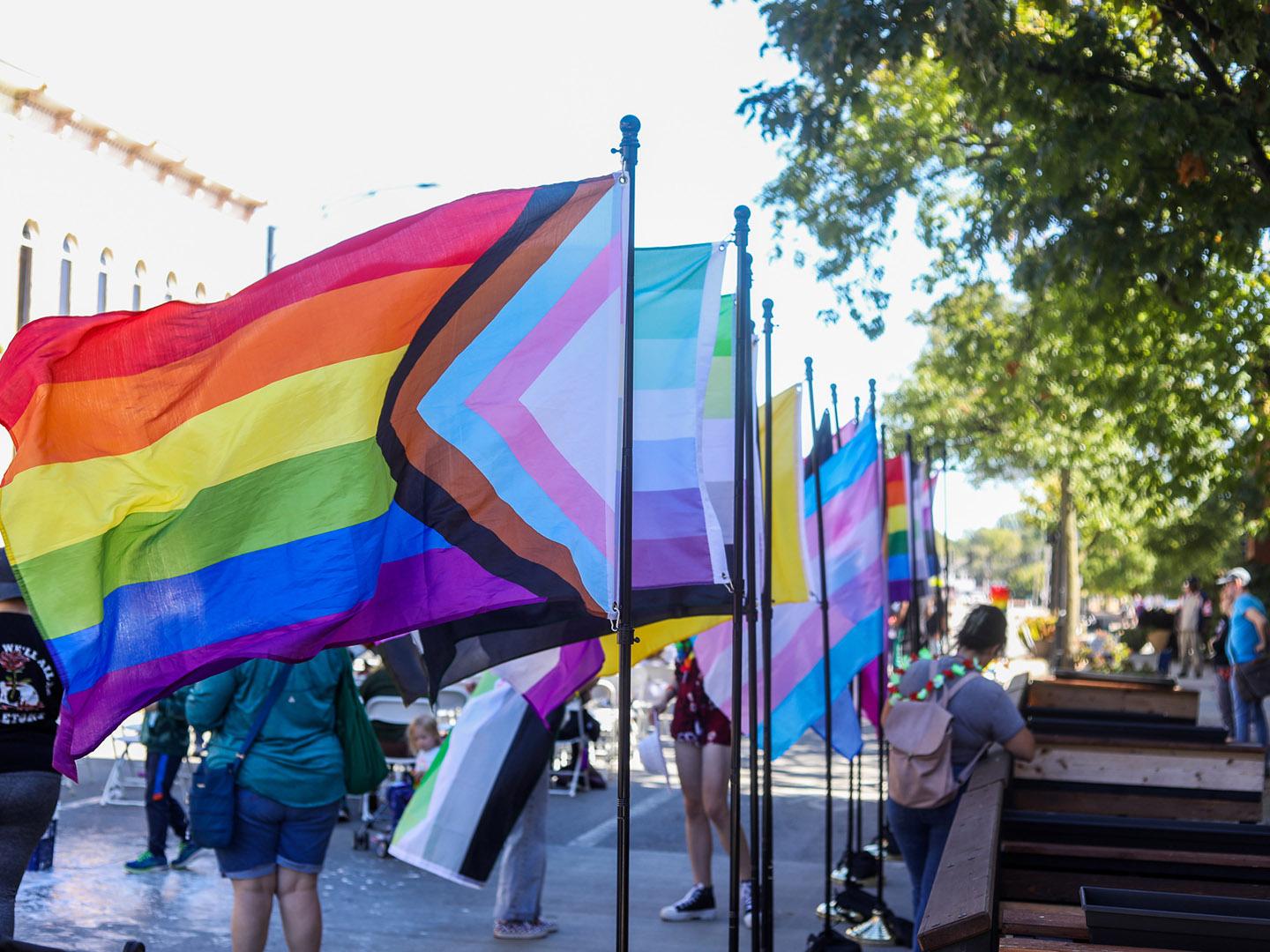 Banderas en exhibición en el CU Pride Festival en el centro de Urbana, Illinois