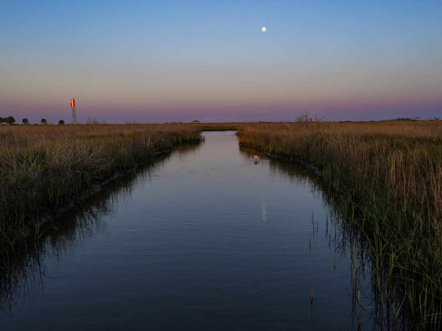 East End Lagoon Nature Preserve à Galveston, Texas