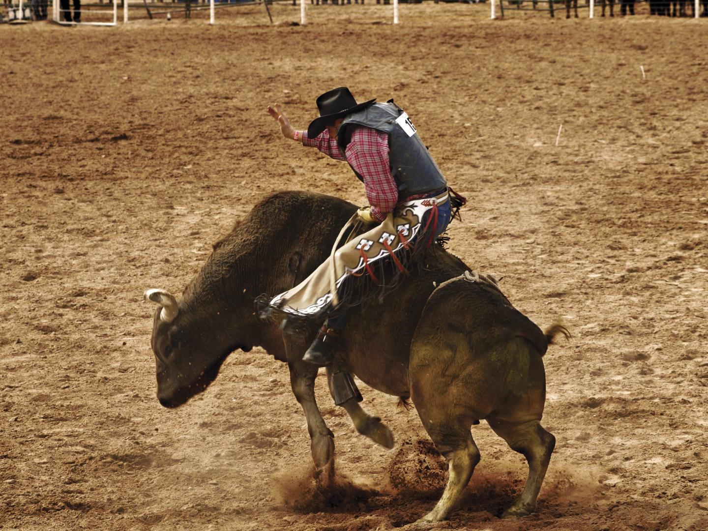 Caubói montando um touro no Adirondack Stampede Rodeo em Glens Falls, Nova York