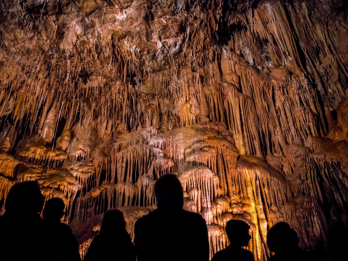 在奇里卡瓦國家紀念區健行