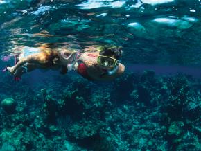 Kids snorkeling over a coral reef