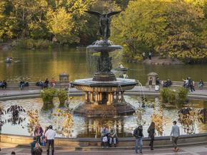 纽约市中央公园中的喷泉