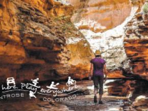 Official Montrose Travel sites