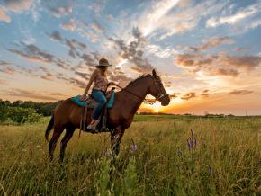 Ausritt auf dem Gelände der Circle S Ranch Ausritt auf dem Gelände der Circle S Ranch