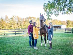 Petting a gentle American Saddlebred at a horse farm Petting a gentle American Saddlebred at a horse farm