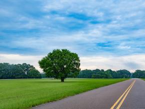 Admirando la vista al conducir por Natchez Trace Parkway