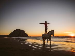 Practicing horse yoga on Morro Bay in California